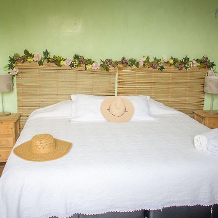 7 San Fernando, Bacalar Villa Jimmy ภายนอก รูปภาพ